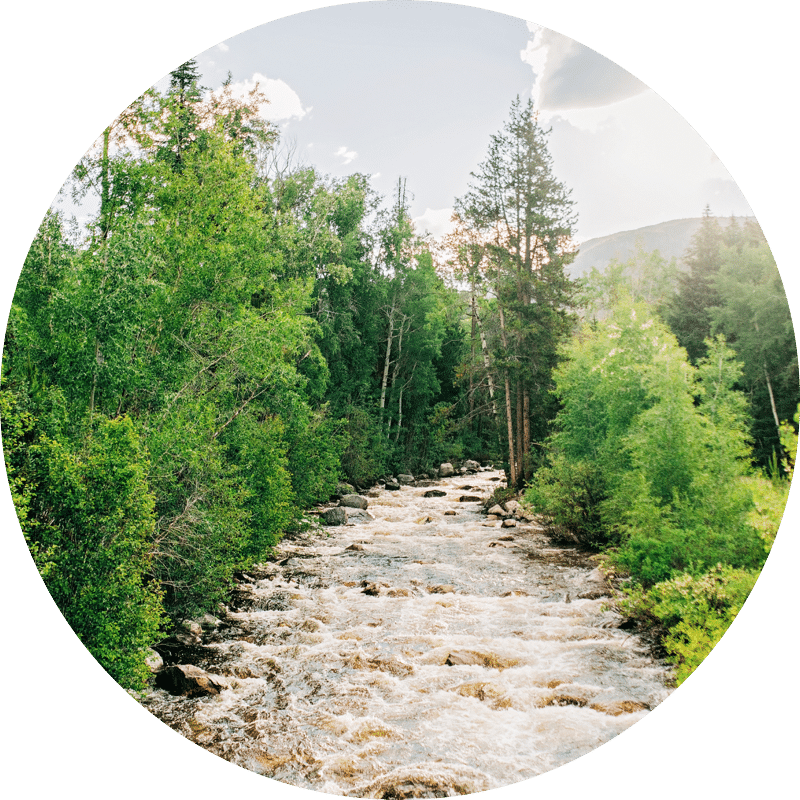 Get one on one therapy sessions anywhere - Dr. Nicole McGuffin